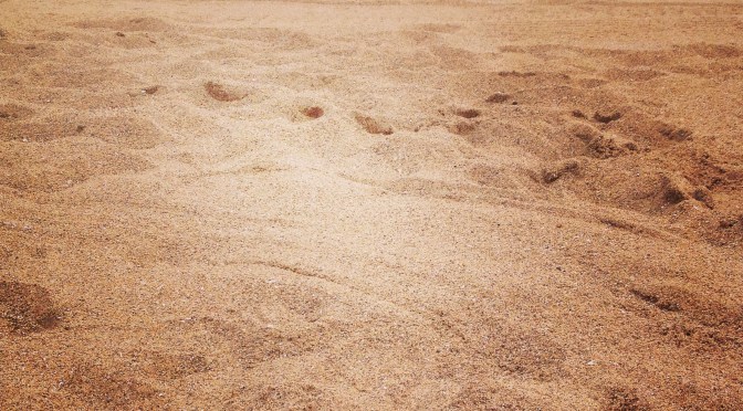 I Finally Have a Life!