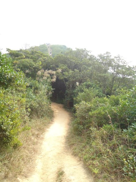 298213_608390099617_284783968_n