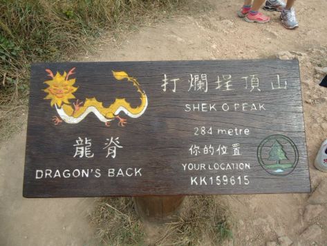 382922_608390119577_1158888224_n