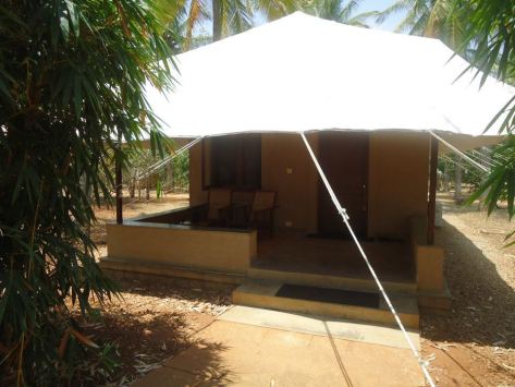 564954_642214919407_609517669_n