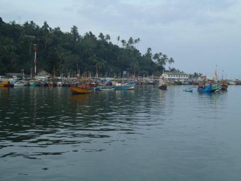 402372_627758200787_1878434571_n