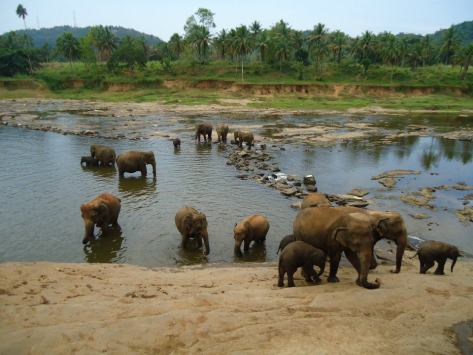 403949_627753624957_1417140012_n