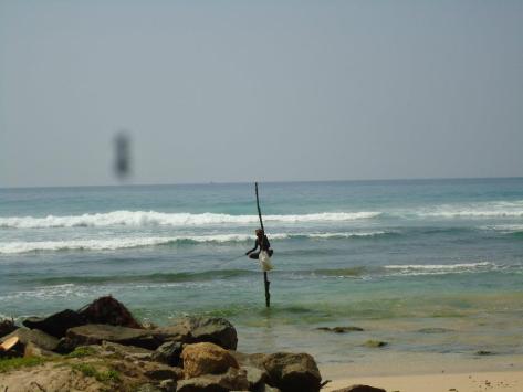 423352_627758679827_1180285524_n