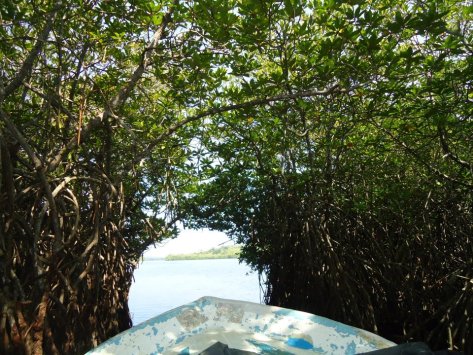 426052_627759293597_435519360_n