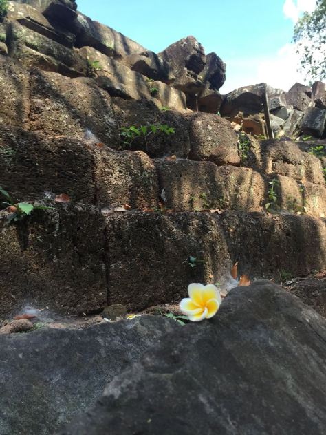 12140955_963699511707_8151624001951161516_o