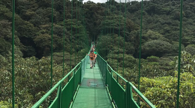 Animals and Adventure in Costa Rica: Monteverde