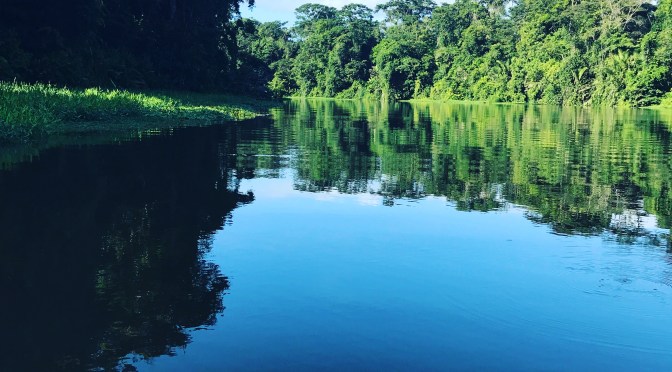 Animals and Adventure in Costa Rica: Tortuguero