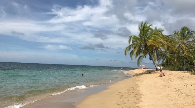 Animals and Adventure in Costa Rica: Puerto Viejo de Talamanca