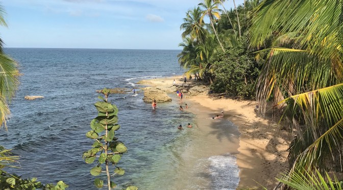 Animals and Adventure in Costa Rica!