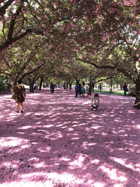 RHuv6blpT1yYzwQAyK%ViQ