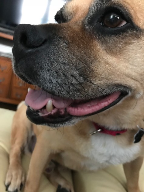 1hwIjvm+RwqhWlmp2%CraQ