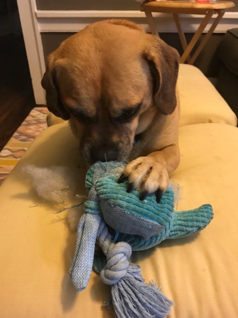 kxz0OVCSSLmQzI41nZ+wYA