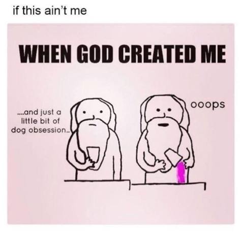 36654586_467833017013440_3560451253282537472_n