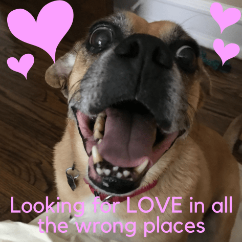 Looking for LOVE in all the wrong places