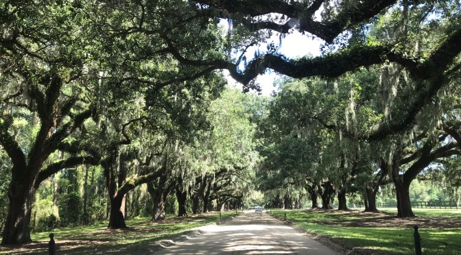 A Visit to Low Country
